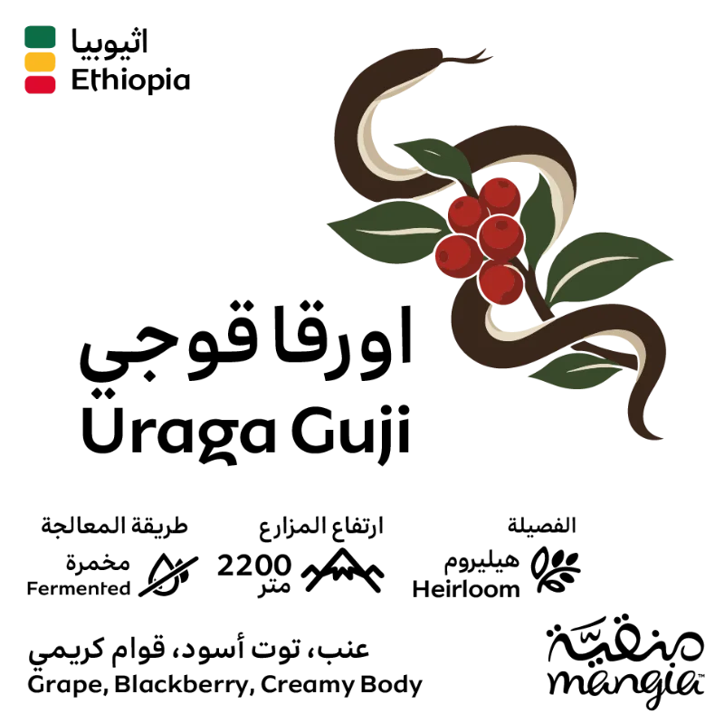 اثيوبيا أوراقا قوجي
